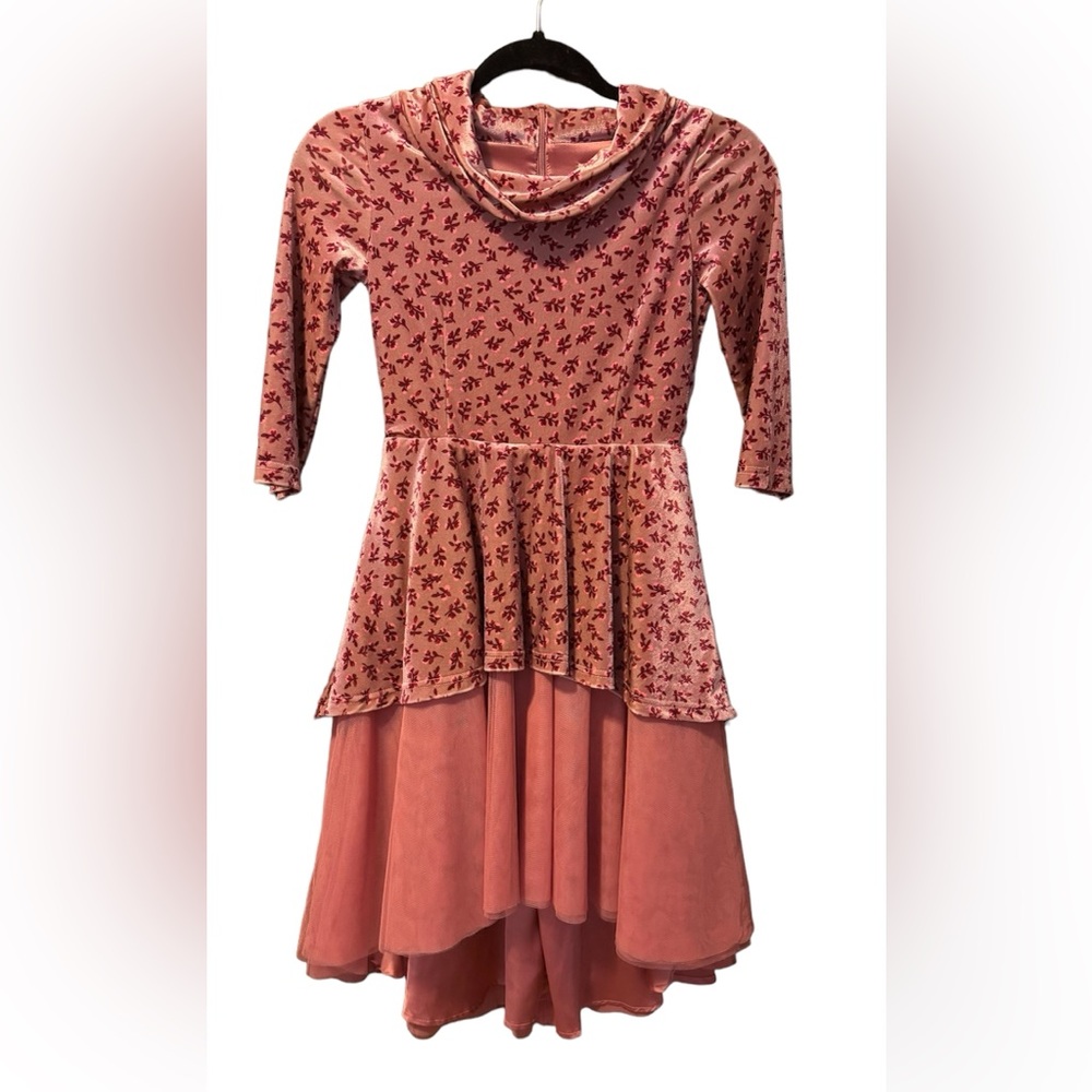 Joyfolie Mia Joy Everly Floral tulle velvet high low dress size 10